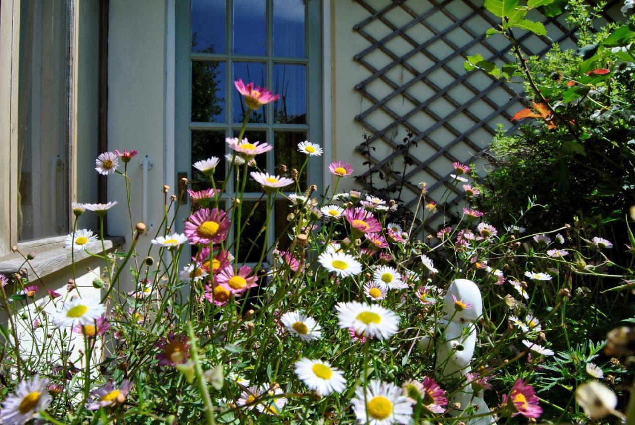 The Cottage Garden - A Herefordshire Retreat Ross-on-Wye Bagian luar foto